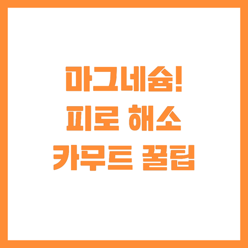 만성 피로 개선! 카무트의 마그네슘과..