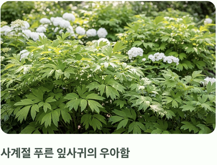 꽃이 져도 남는 우아함