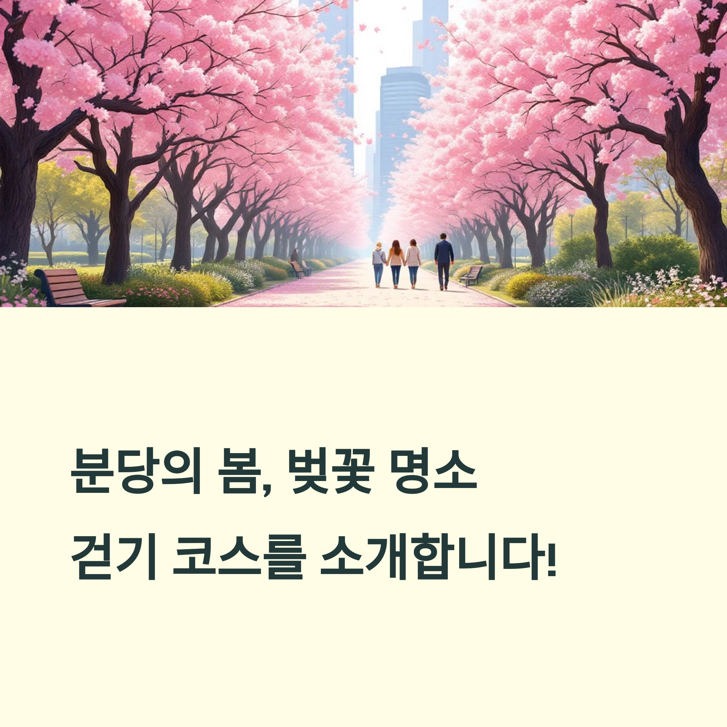 성남 분당의 봄, 벚꽃 명소 걷기 코스