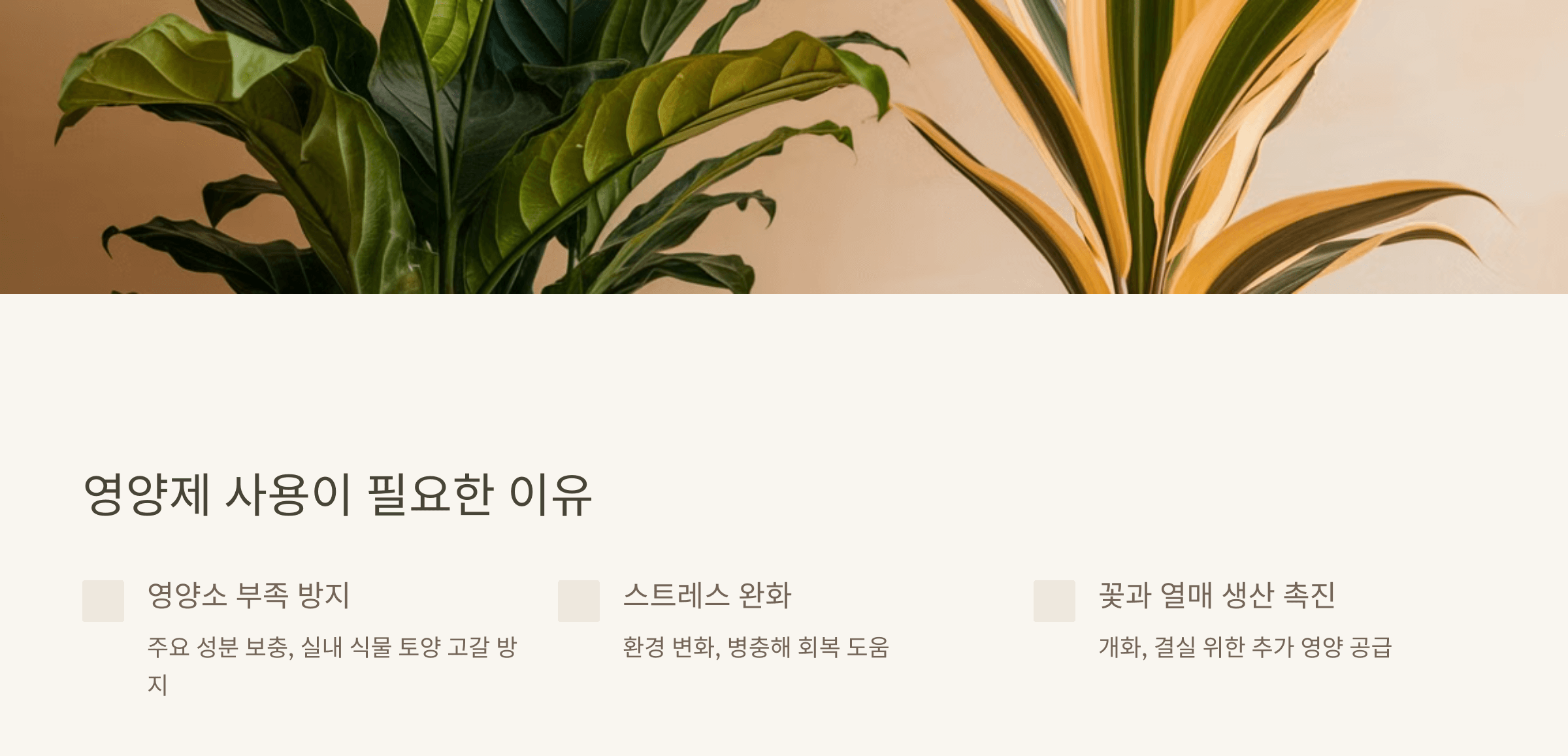 영양제 사용이 필요한 이유