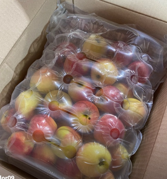 사노라면-경산-사과-루비에스사과