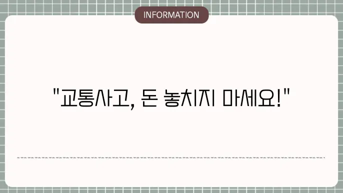 교통사고 통원 치료비 실비보험 중복 보상 메리츠화재