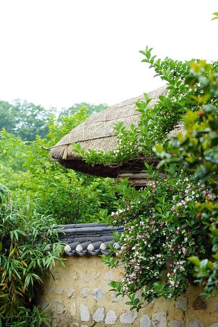 미래를 위한 전통: 한옥의 지속 가능한 설계