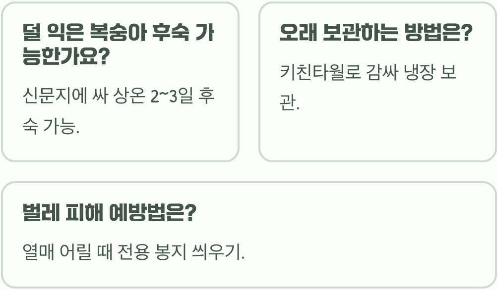 복숭아나무 열매 수확 시기&amp;#44; 가장 달고 맛있을 때를 알아보는 3가지 신호