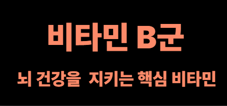 비타민 B군 이미지사진