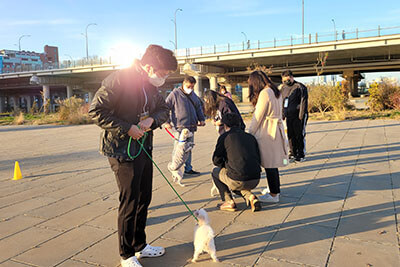 반려동물시민학교-교육내용-산책교육