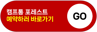가평 빠지 펜션 놀이기구 패키지 가격 가성비 추천