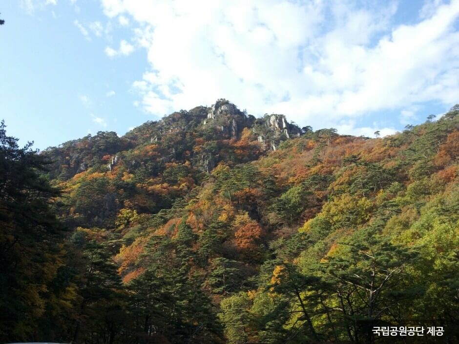 가을 여행지 단풍 추천장소 _ 속리산, 팔공산, 가야산, 지리산, 한라산 국립공원