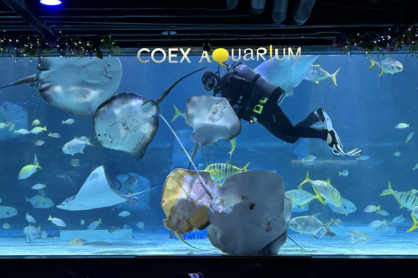 서울 비 오는 날 실내 데이트