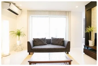 북서향 창문 식물 선택 저광량관리 물주기 식물등 세팅 가이드_8