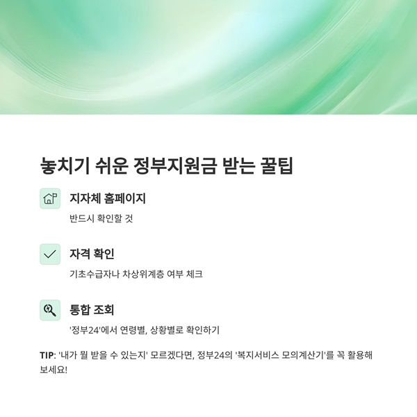 2025년 정부지원금 총정리 25만원부터 1억까지 완벽 가이드