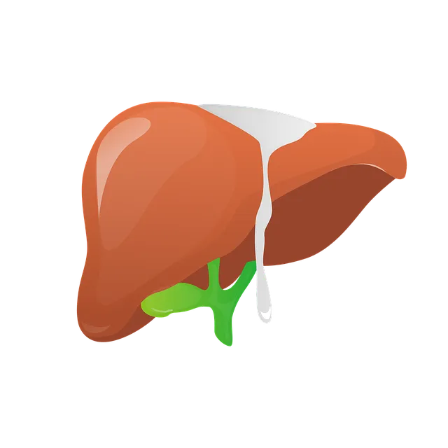 지방간 없애는 방법