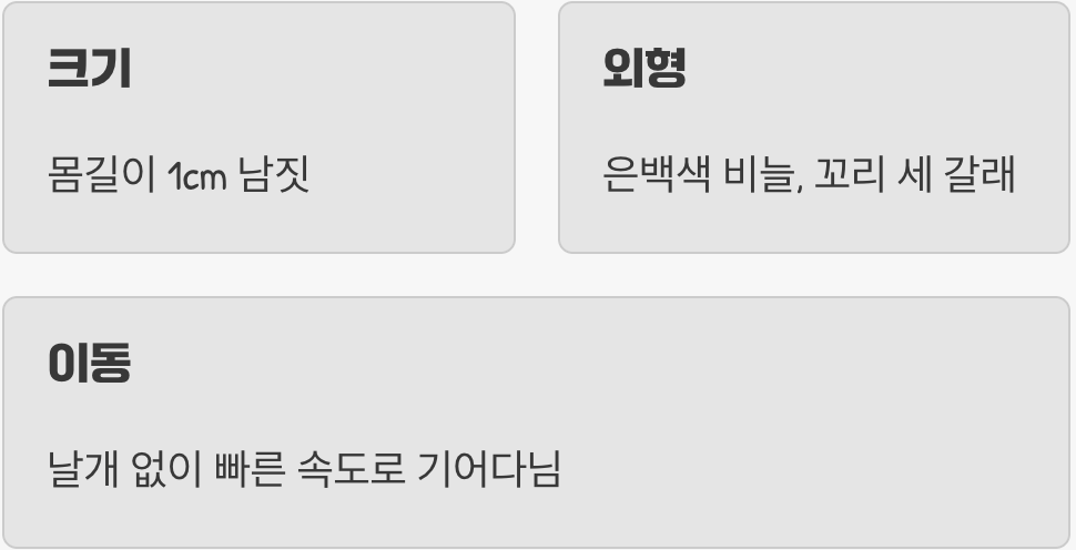 진짜 '좀', 옷장을 습격하는 은빛 도둑