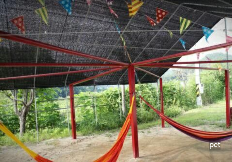 경기-연천-물꽃캠핑장-예약-방법-애견-동반-가격-주소-시간-후기