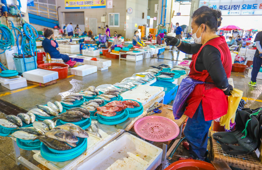 포항 죽도시장 