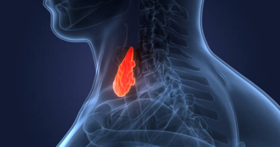 갑상선암 증상&amp;#44; 수술후 회복기간&amp;#44; 수술후 좋은음식 총정리 (2024ver)