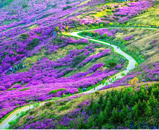 황매산 군립공원