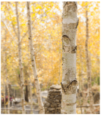 화담숲 전경사진