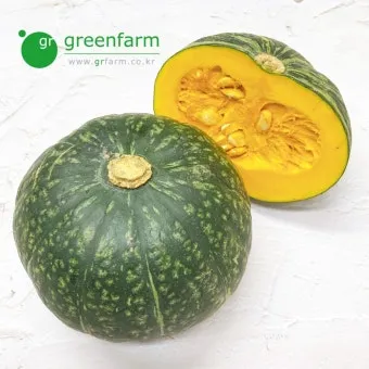 단호박 수확시기와 따는 방법 지역별로 쉽게 알아보는 정보_5