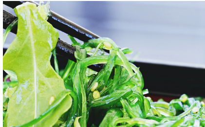 봄철 해조류 – 미네랄 보충