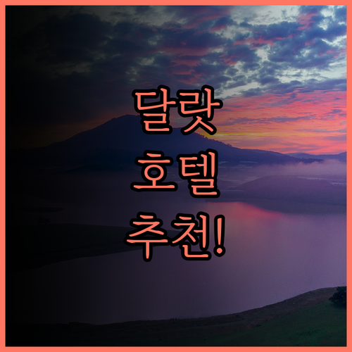 니아 호텔.. 달랏에서 만나는 감동적