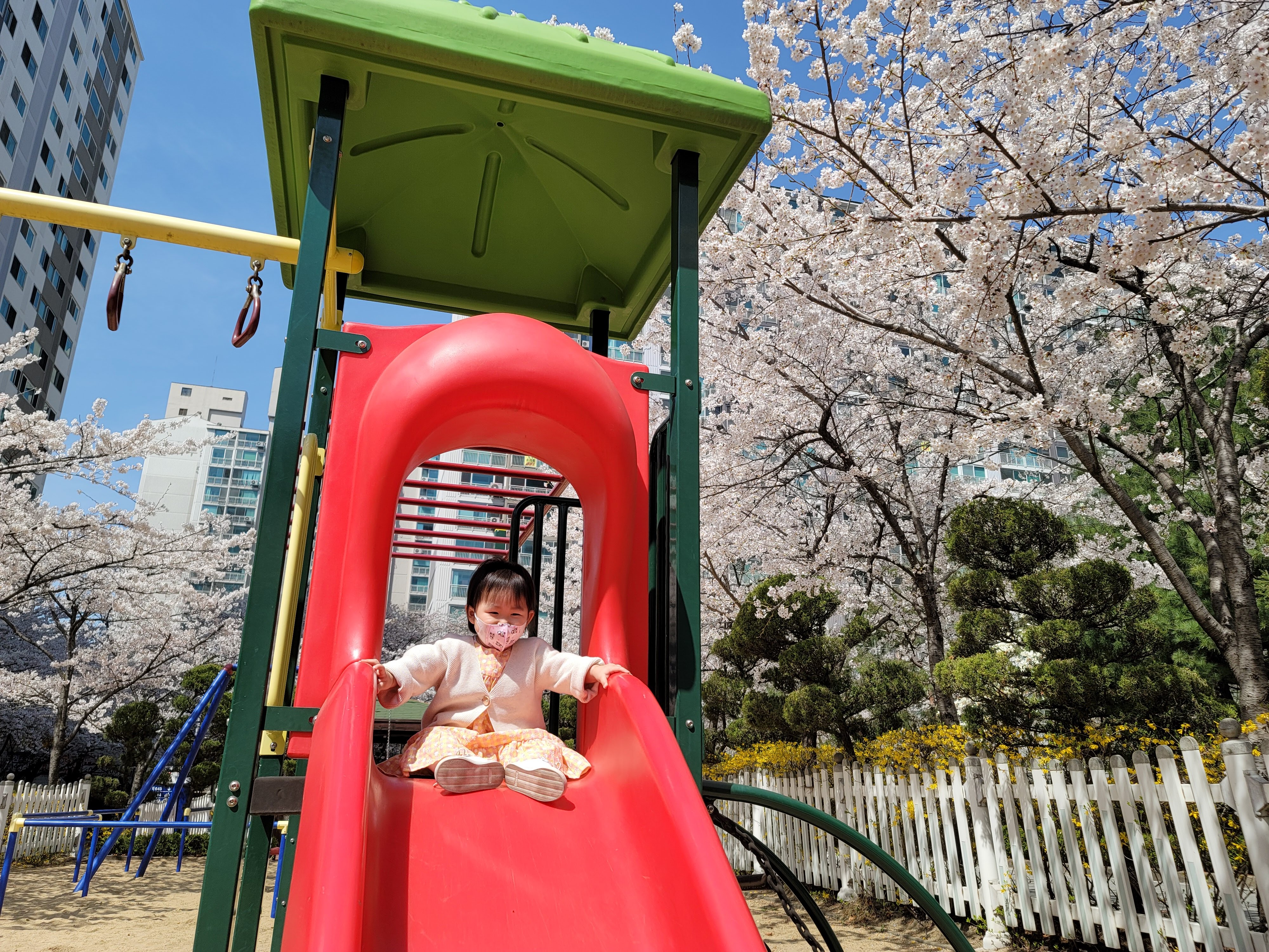 수원 숨은 벚꽃 명소