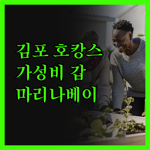 호텔 마리나베이 서울, 김포에서 즐기