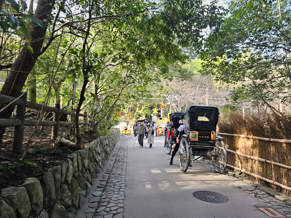 아라시야마 치쿠린