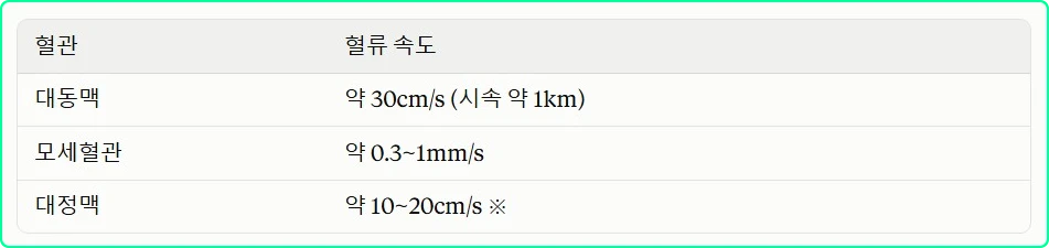 혈관별 혈류 속도