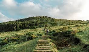 3월 제주도 여행 완벽 가이드: 날씨, 옷차림, 여행 코스