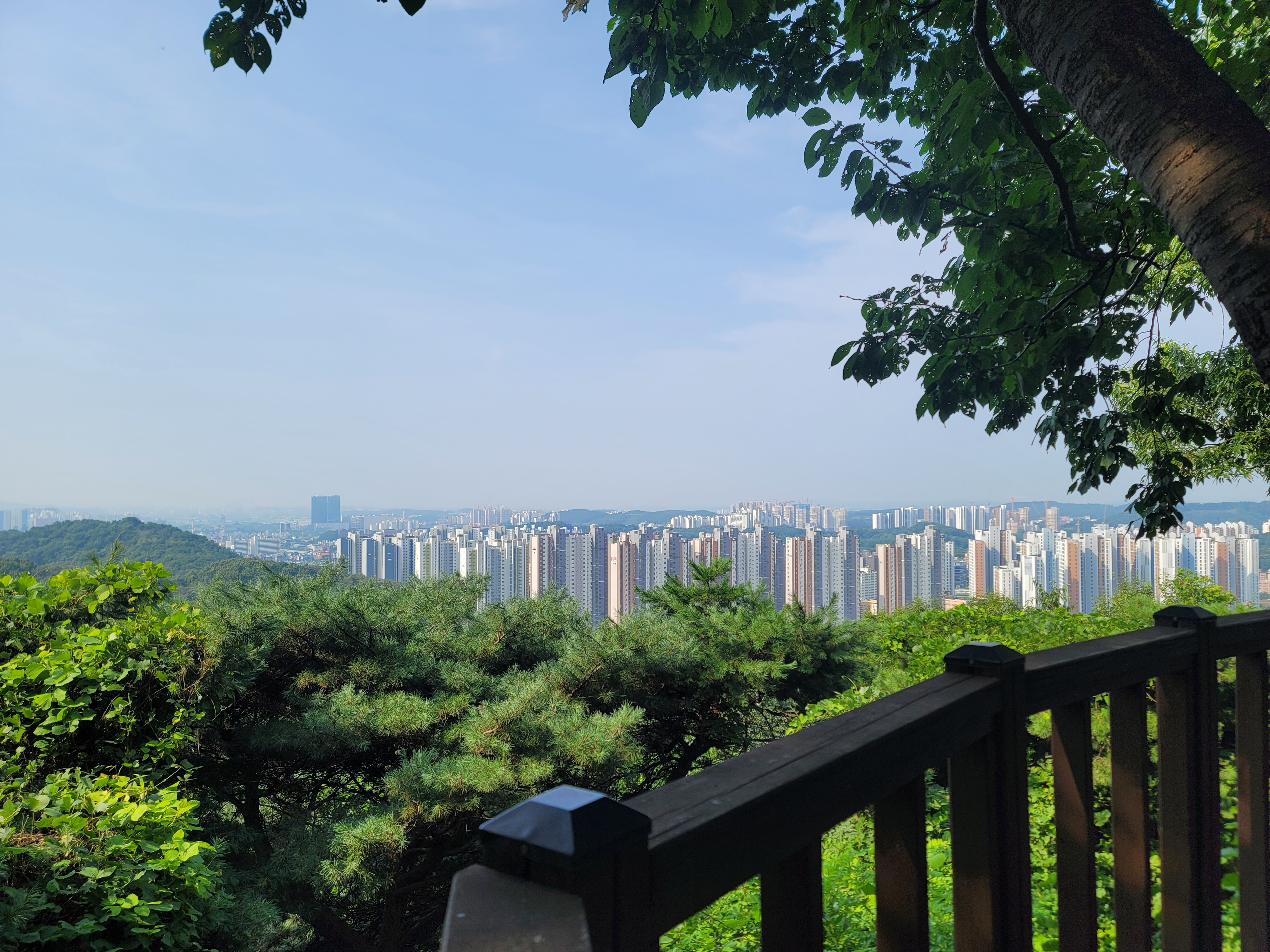 필봉산정상