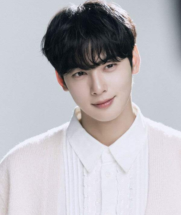차은우 조세심판원 청구 승소 확률과 행정소송 3대 시나리오 정밀 예측, 낸 돈 130억 다시 돌려받을까?
