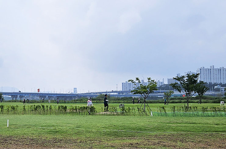 경상북도 구미 양호파크골프장 소개