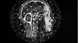 의사 일반의 전문의 페이닥터 연봉 및 월급