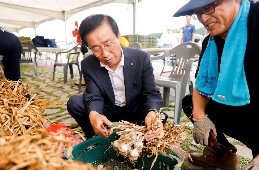 2025 단양 마늘축제 &amp; 단양마늘 활용