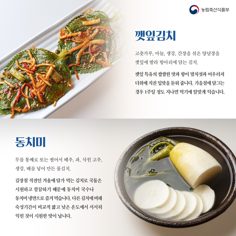 김치의 날 카드뉴스3