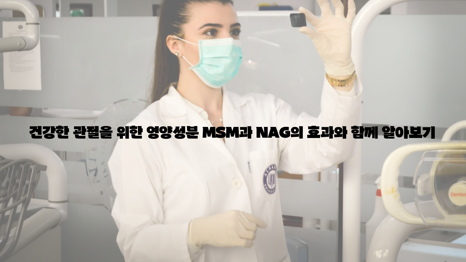 건강한 관절, 영양성분, MSM과 NAG