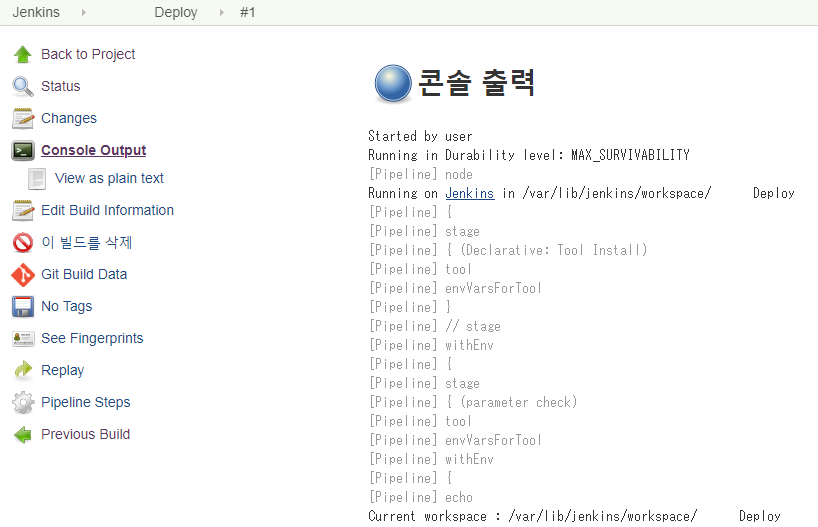 Jenkins 빌드 Console Output