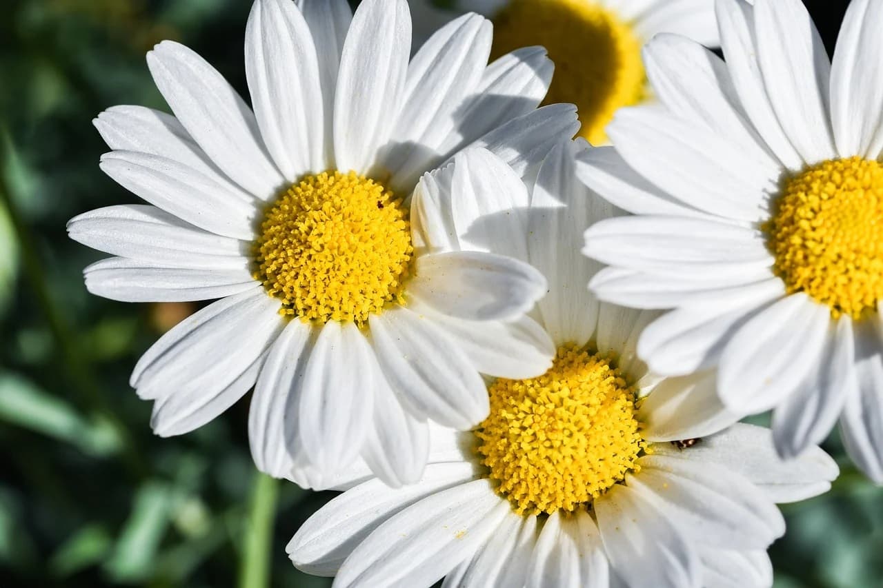 디지털 소유욕은 어떻게 ‘의미’를 소비하게 만드는가?