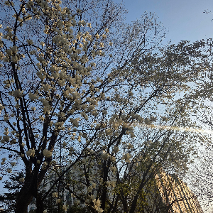 고독을 즐기는 브랜드