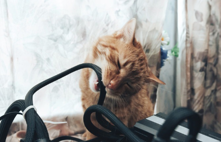 전기 코드.