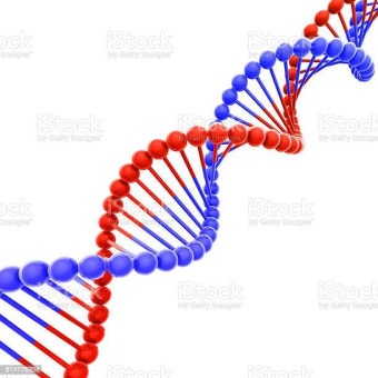 DNA, 생명의 언어