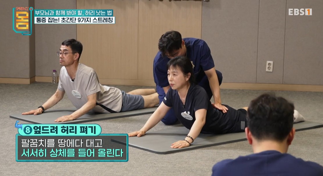 허리통증완화 스트레칭