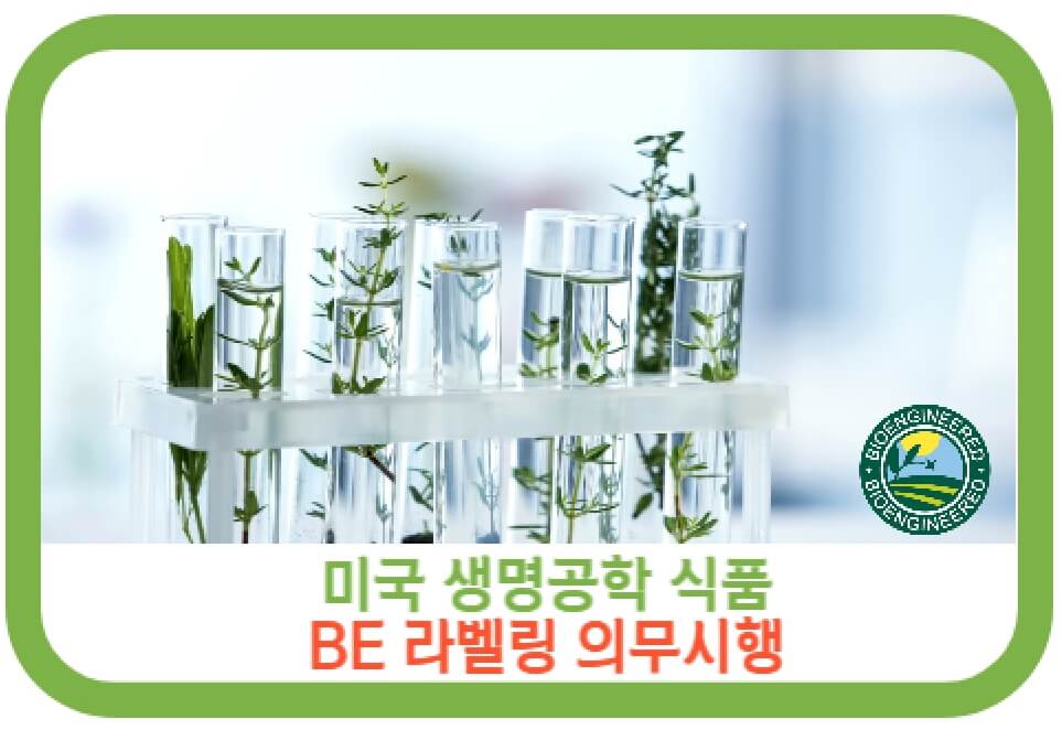 미국-생명공학-식품