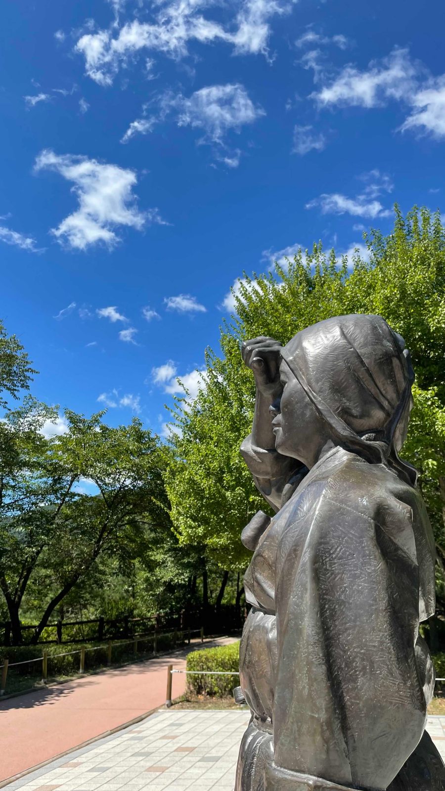 청양 천장호 출렁다리