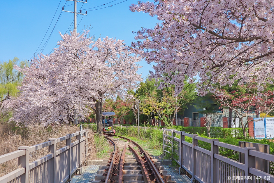 의왕 가볼만한곳 베스트10