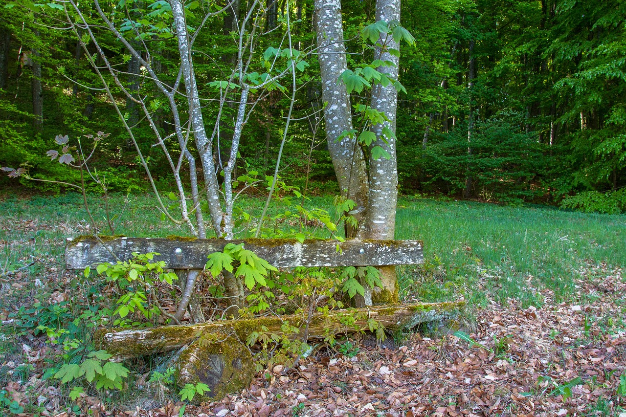 2025 기초연금 신청