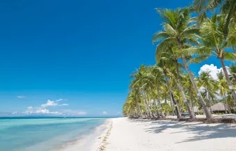 필리핀 클럽 바 안전하게 즐기기 필리핀 밤문화 완벽 가이드_18