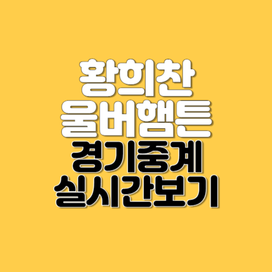 황희찬 울버햄튼 경기 중계 실시간보기