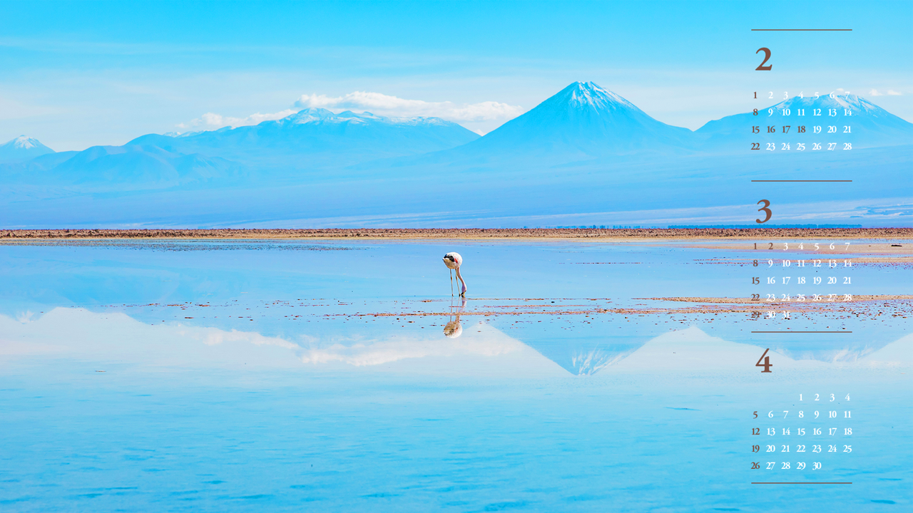 03 칠레 아타카마의 플라밍고 B - 2026년3월 달력배경화면